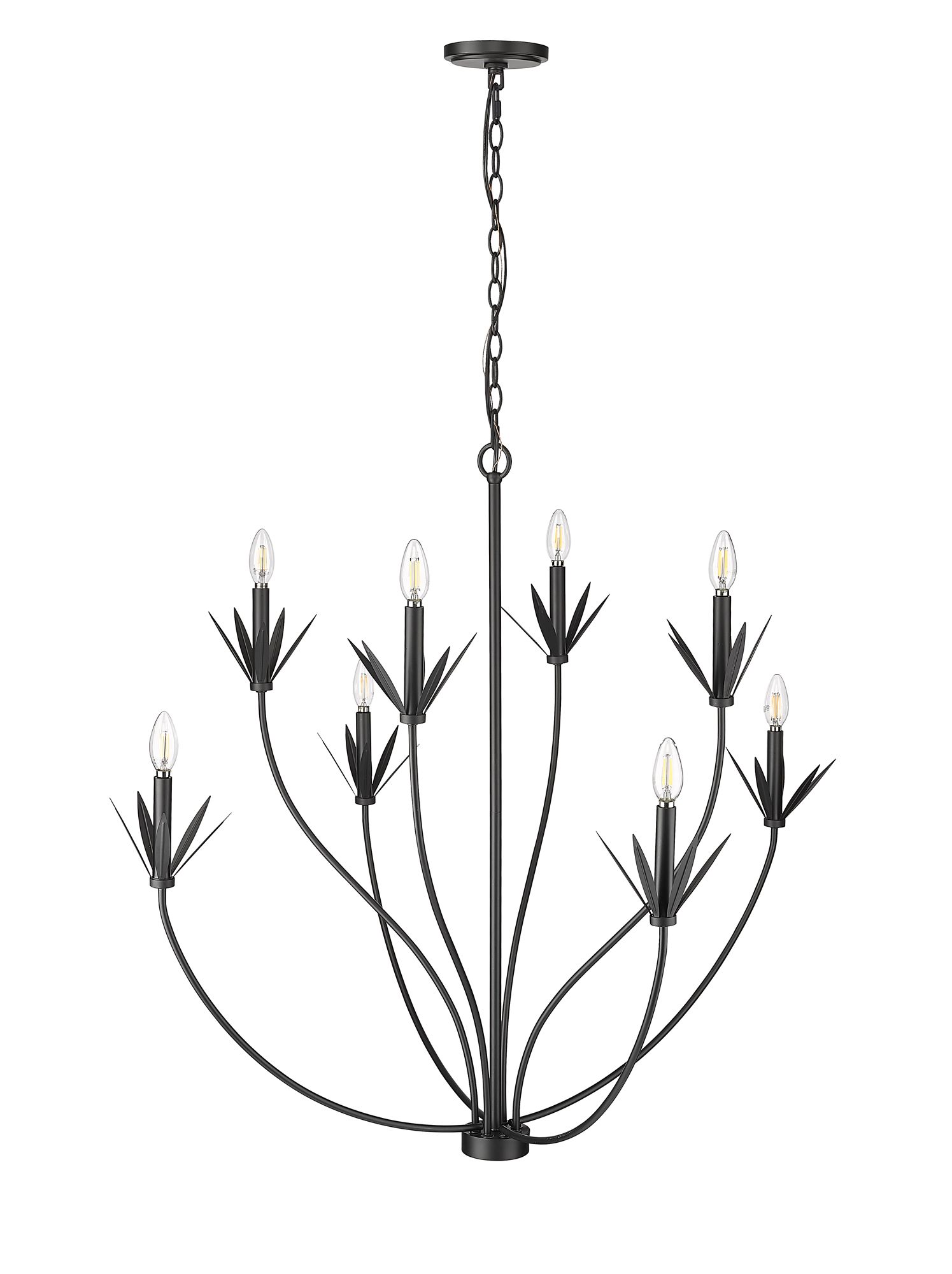 Millennium Primrose 8-Light 40.5" Matte Black Chandelier