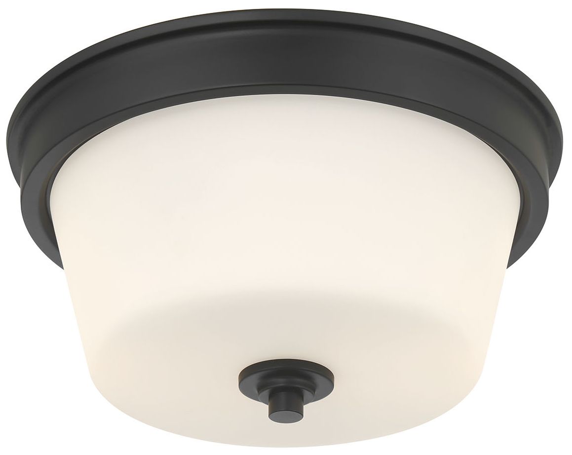 Image 4 Millennium Strayhan 2-Light 13" Matte Black Flush Mount with Glass Shade more views