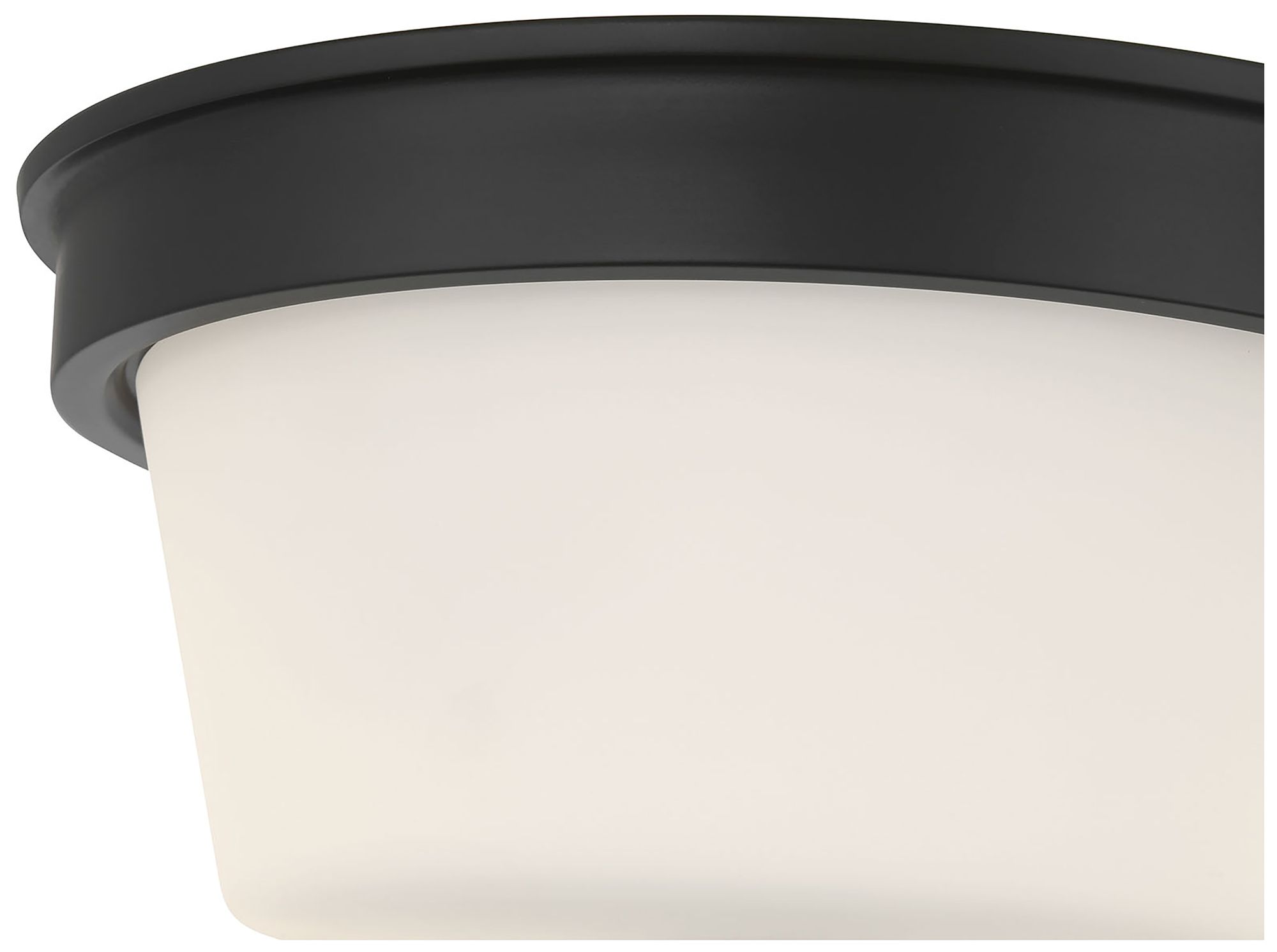 Image 6 Millennium Strayhan 2-Light 13" Matte Black Flush Mount with Glass Shade more views