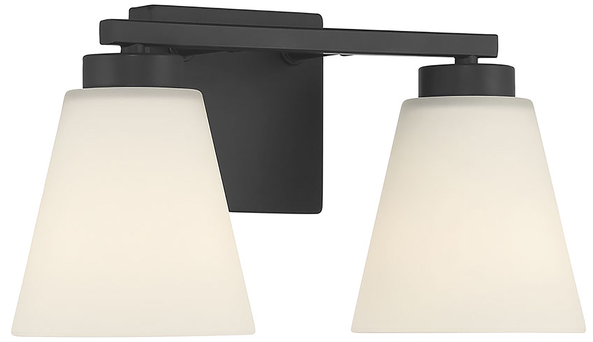 Millennium Strayhan 2-Light 13" Matte Black Vanity Light with Glass Shade