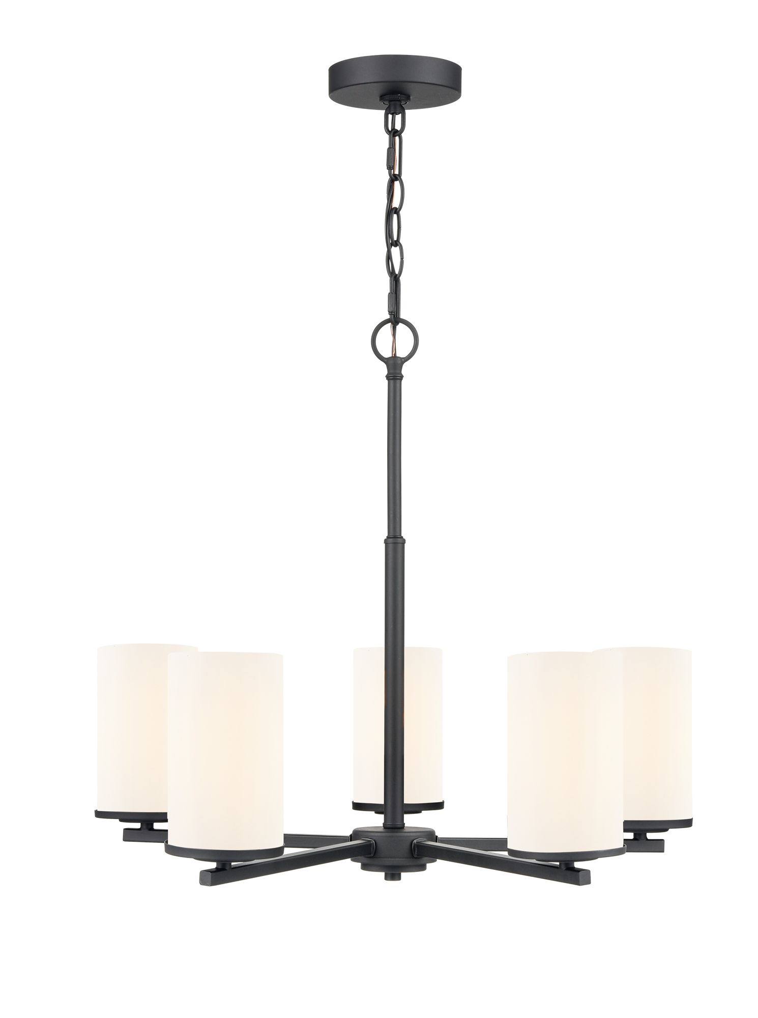 Image 2 Millennium Verlana 5-Light 24" Matte Black Chandelier with Glass Shade more views