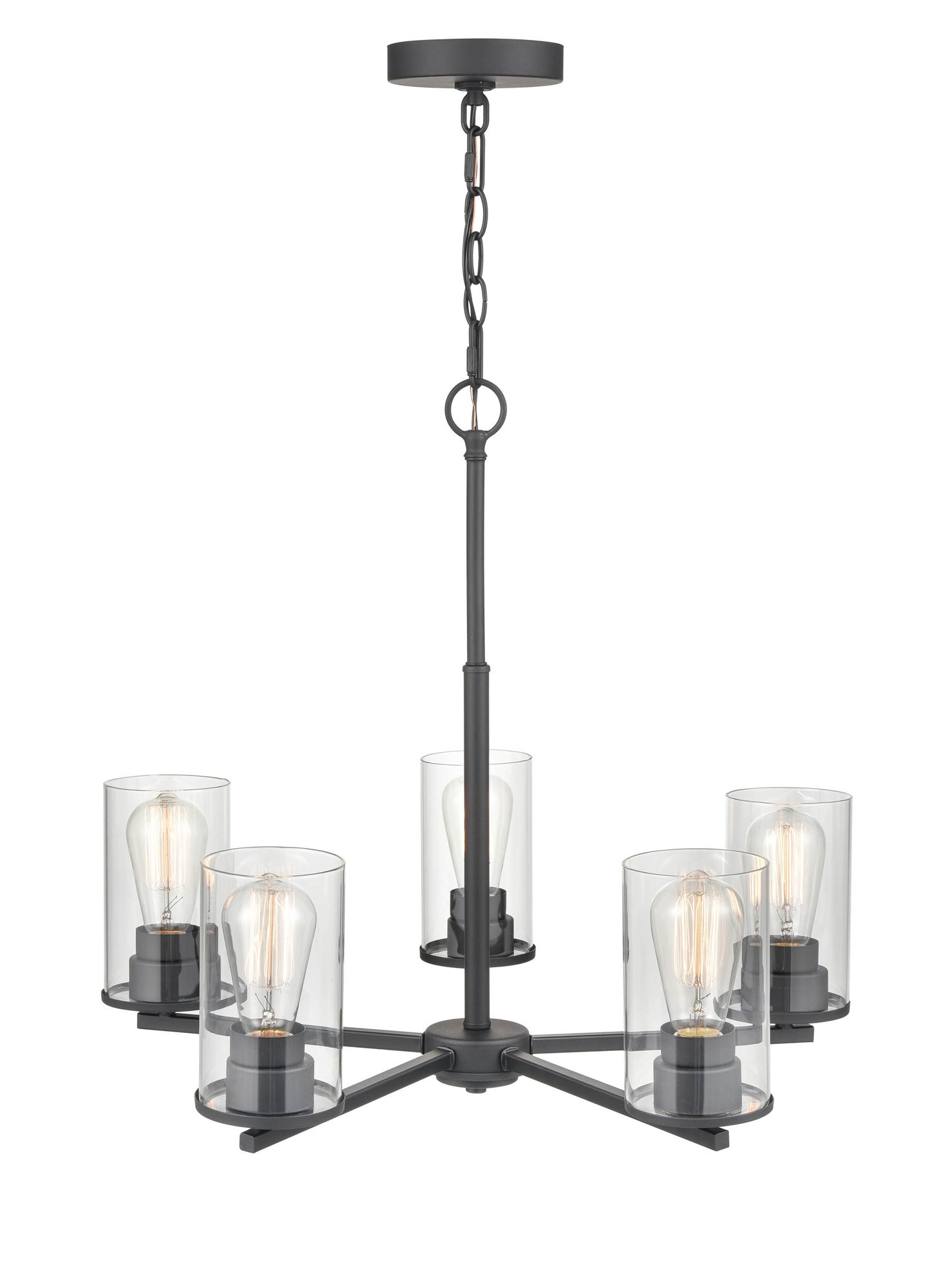 Image 3 Millennium Verlana 5-Light 24" Matte Black Chandelier with Glass Shade more views