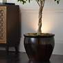 Thumbnail4 of Mini Accent 6 1/2" High Can Spot Light in Brushed Nickel more views