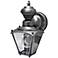 Mini Coach Silver Pewter Outdoor Wall Light