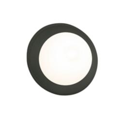 Mini Coupe 6.25" High Pewter Green Wall Sconce