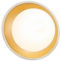 Mini Coupe Matte White & Champagne Wall Sconce
