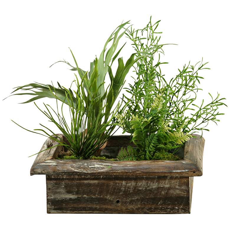 Image 1 Mini Staghorn Fern and Wild Asparagus 19 inchW Faux Plant