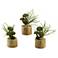 Mini Wheel Succulents and Pearl Grass 10"H Faux Plant Set of 3