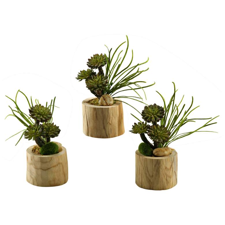 Image 1 Mini Wheel Succulents and Pearl Grass 10 inchH Faux Plant Set of 3