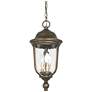 2_Minka Havenwood 19 3/4" Tavira Bronze and Silver Outdoor Hanging Light
