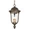 Minka Havenwood 25 1/4" Tavira Bronze and Silver Outdoor Hanging Light
