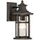 Minka Highland Ridge 11 3/4" High Bronze and Gold Outdoor Wall Light