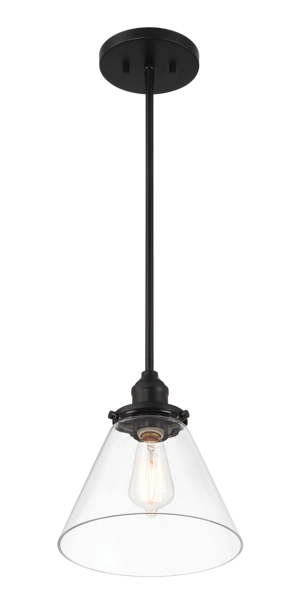 Minka Lavery Barwell 1-Light 10-in Coal Black Pendant with Glass Shade
