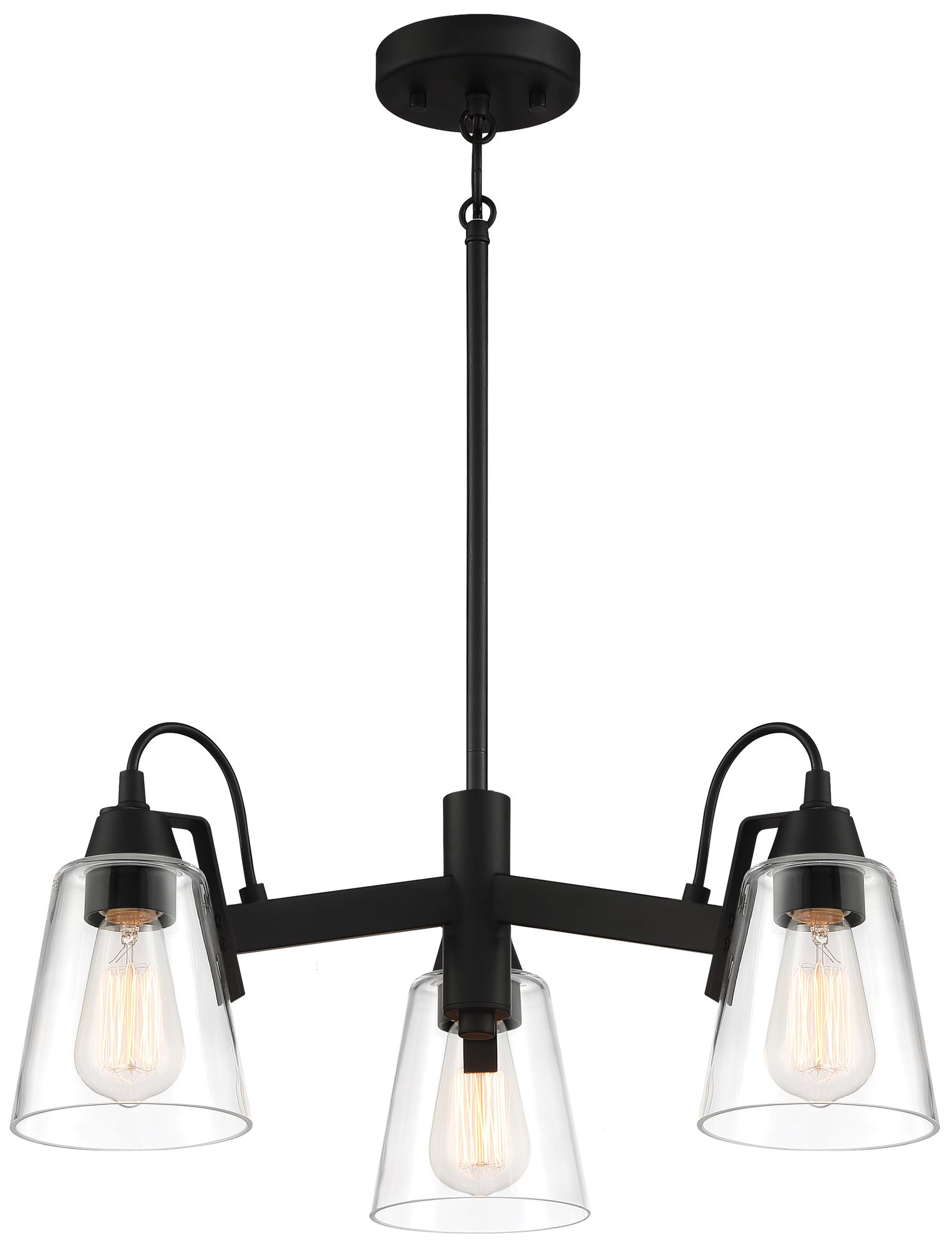 Minka-Lavery Beckonridge 3-Light Coal Black Chandelier with Glass Shades
