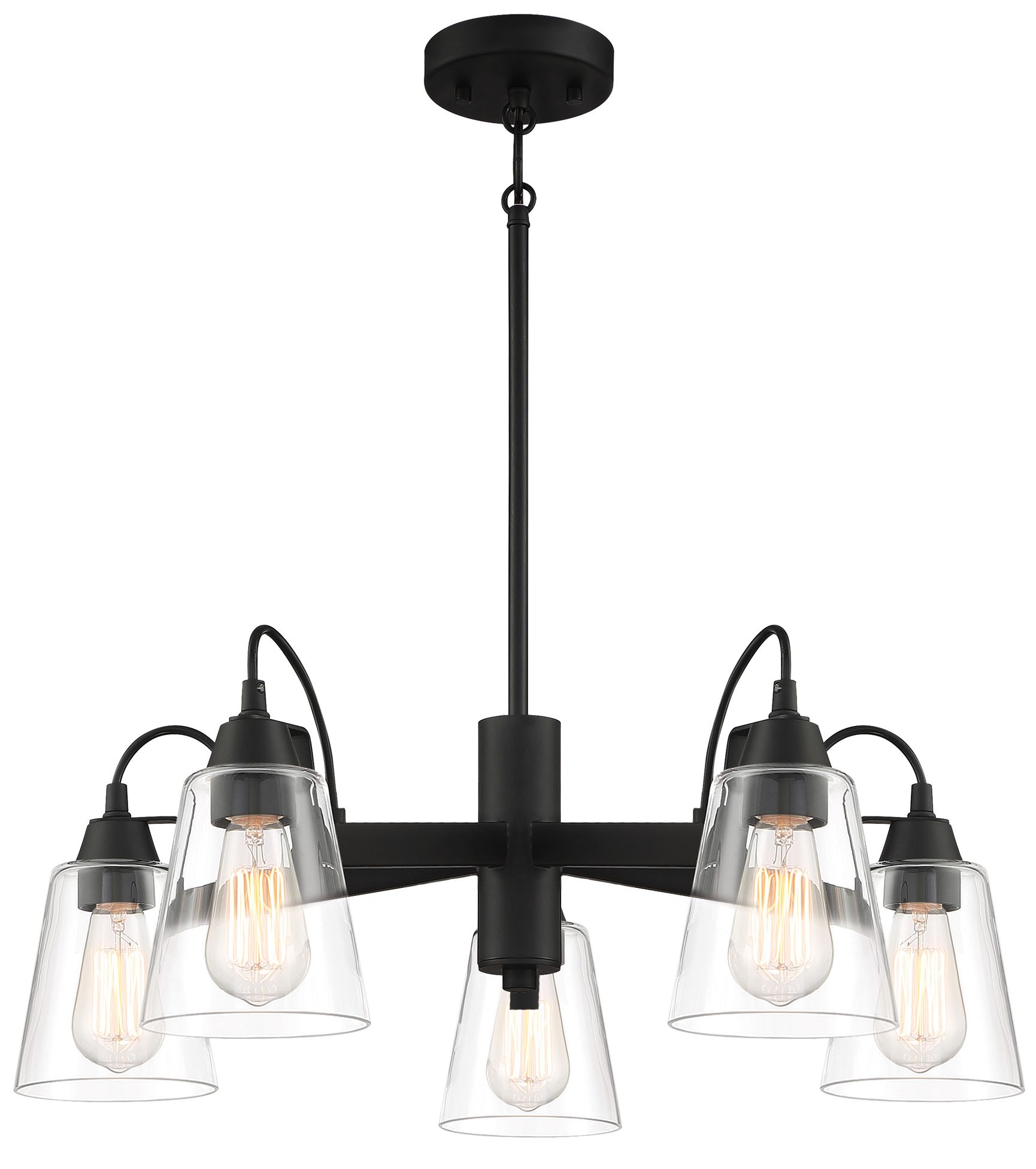 Minka-Lavery Beckonridge 5-Light Coal Black Chandelier with Glass Shades