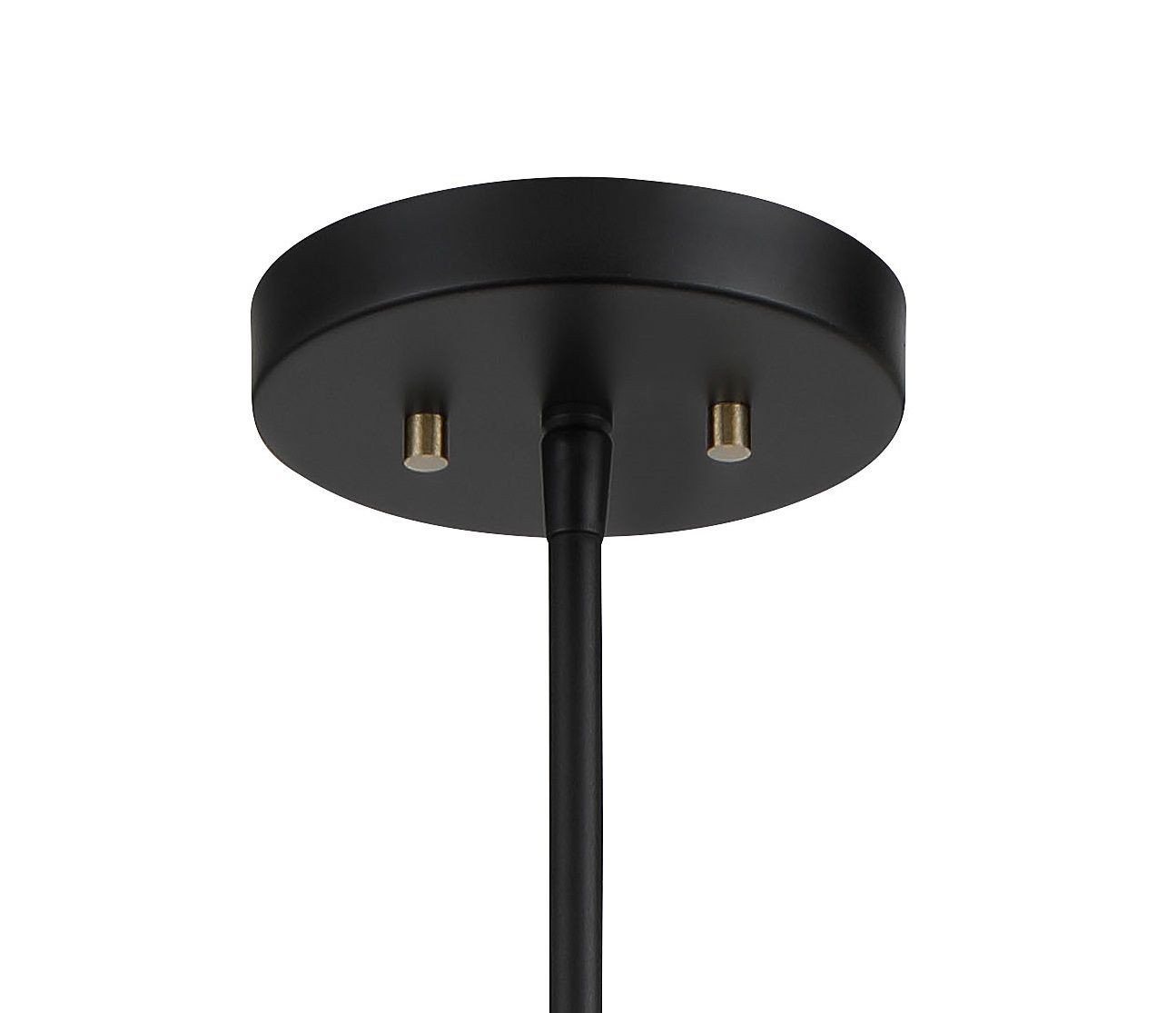 Minka-Lavery Biloxi 1-Light Coal Black and Antique Brass Pendant