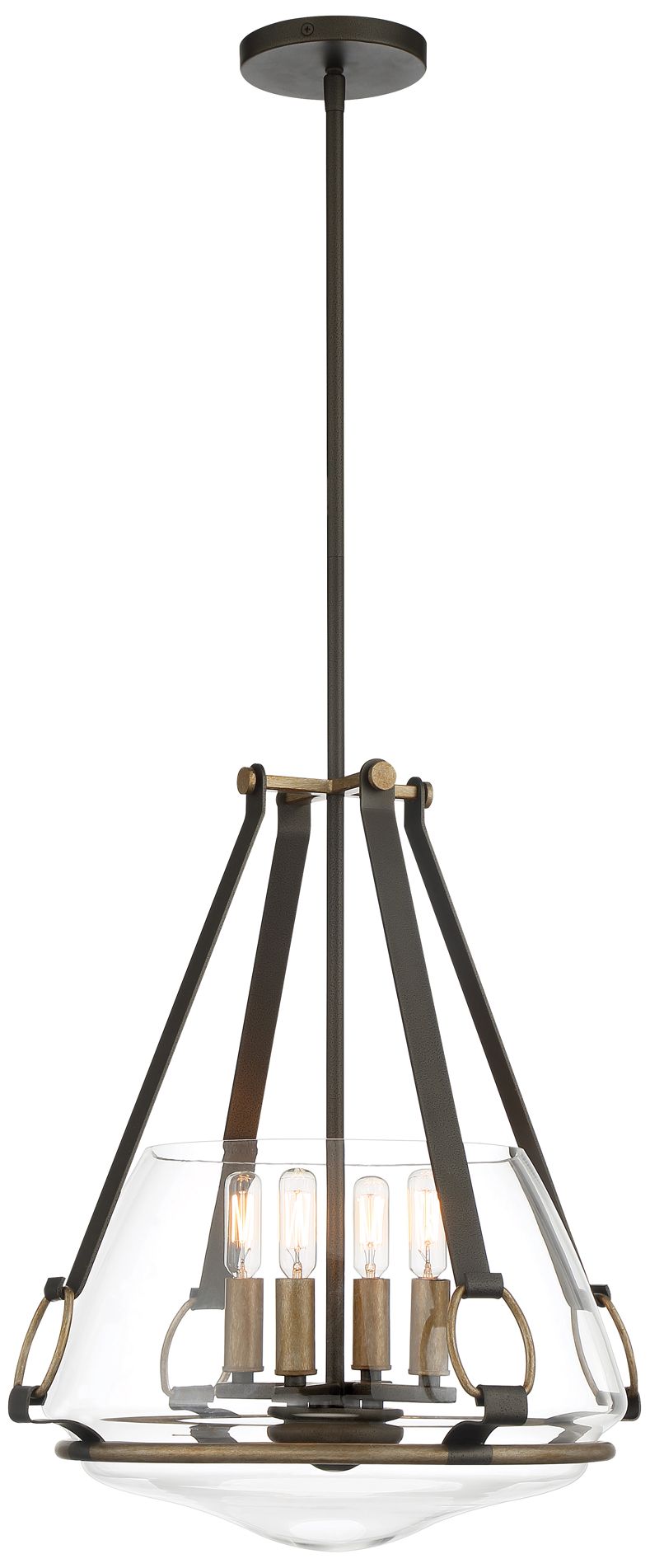 Minka-Lavery Eden Valley 4-Light Smoked Iron and Aged Gold Pendant