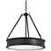 Minka Lavery Harbour Point 19" Wide Black Finish Pendant Light