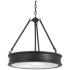 Minka Lavery Harbour Point 19" Wide Black Finish Pendant Light