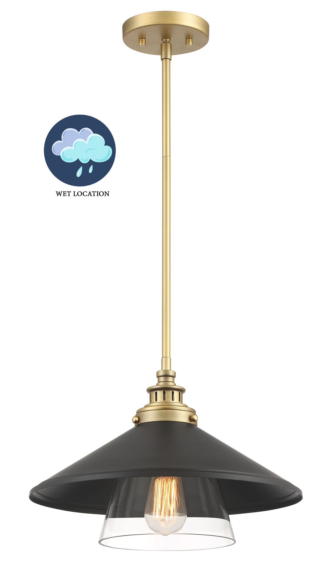 Minka-Lavery Segan 1-Light Coal and Soft Brass Mini Pendant