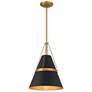 1_Minka Lavery Springfield 1-Light 12-in Brass and Black Pending Lighting
