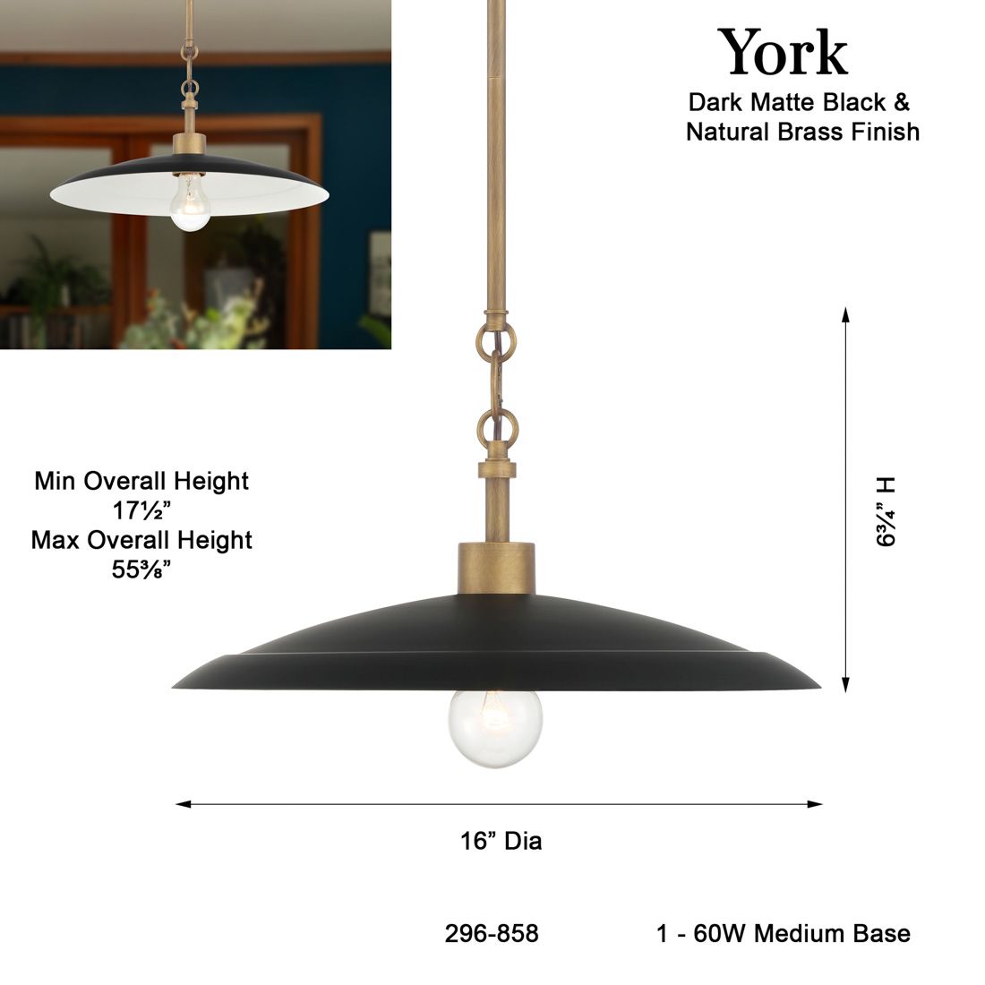 Minka-Lavery York 1-Light 16-in Dark Matte Black and Brass Indoor Pendant