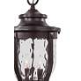 3_Minka Merrimack Collection 17 1/2" High Outdoor Hanging Light more views