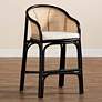 1_Miranda 23 1/2" Natural Brown Black Rattan Counter Stool