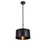 3_Miro Collection Pendant D15 H9.25 Lt:1 Vintage Black Finish more views