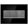 Mirror Black 3-Gang Metal Wall Plate with 2 Switches and Dimmer