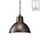 Missoula 13 1/2" Wide Bronze Pendant with Dimmer