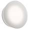 Mist Round 6.5 " High Clear Wall Sconce/Surface Mount