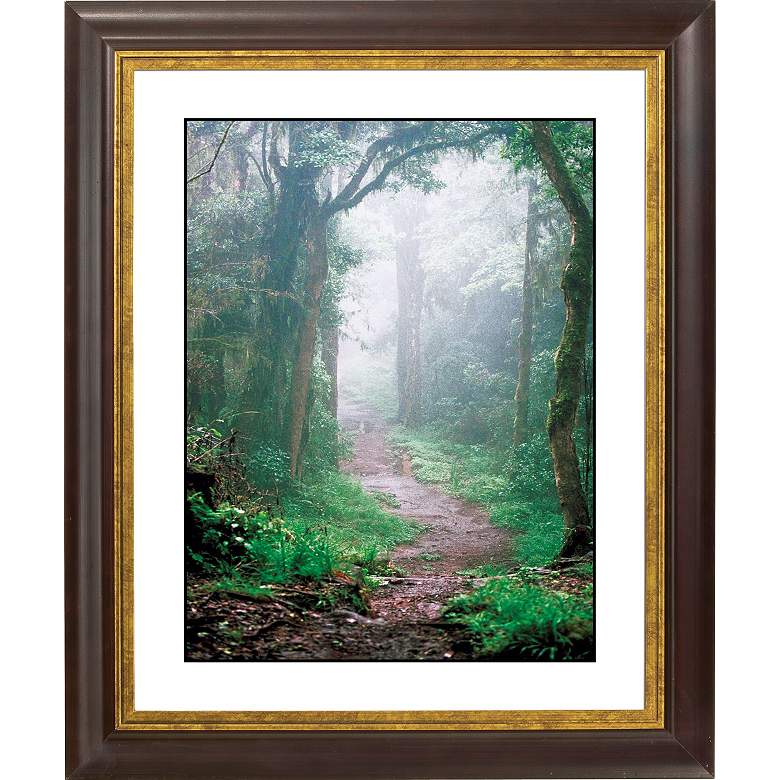 Image 1 Misty Forest Gold Bronze Frame Giclee 20 inch High Wall Art