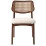 1_Modern Brazilian Beth 19" Wide Medley Ivory Cane Side Chair Nogal Frame
