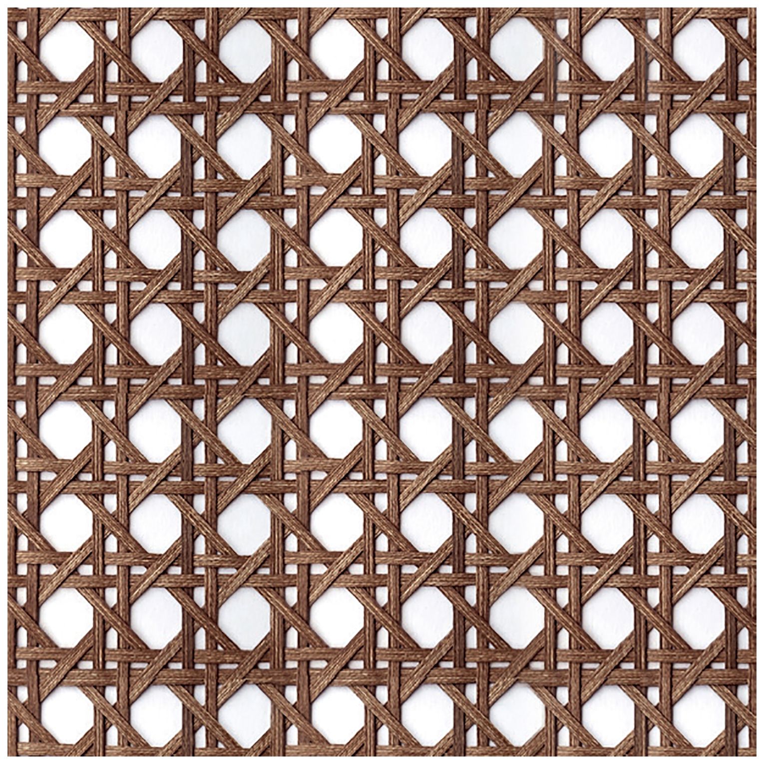 Modern Brazilian Beth 19" Wide Medley Ivory Cane Side Chair Nogal Frame