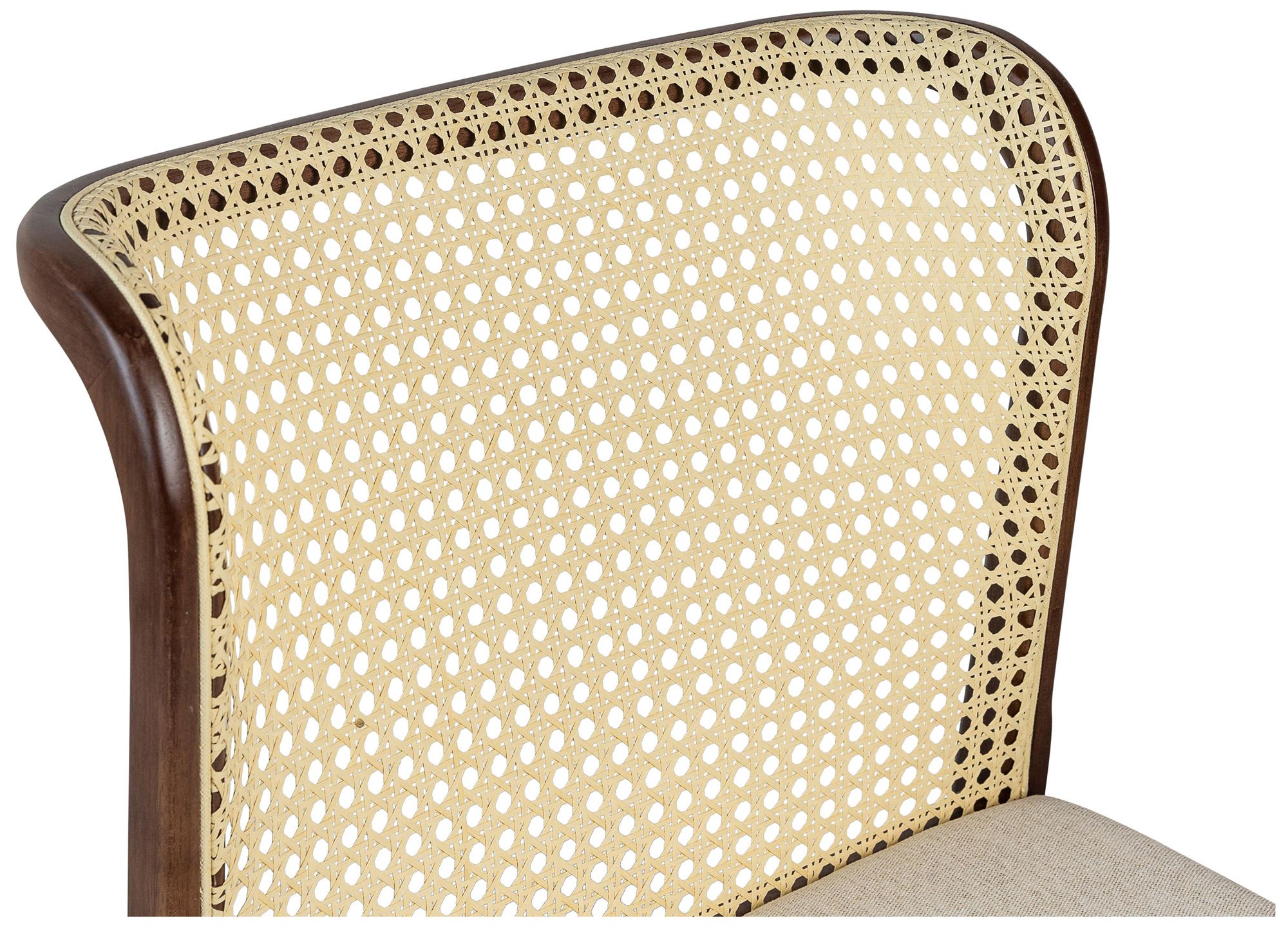 Modern Brazilian Eloa 19.5"W Medley Ivory Dining Chair Nogal, Natural Frame