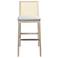 Modern Brazilian Nardia 17.5"W Crafted Glaze Bar Stool Natural Frame