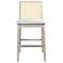 Modern Brazilian Nardia 17.5"W Crafted Glaze Counter Stool Natural Frame
