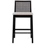 2_Modern Brazilian Nardia 17.5" Wide Crafted Glaze Counter Stool Ebano Frame