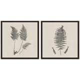 Modern Ferns I 26&quot; Square 2-Piece Framed Giclee Wall Art