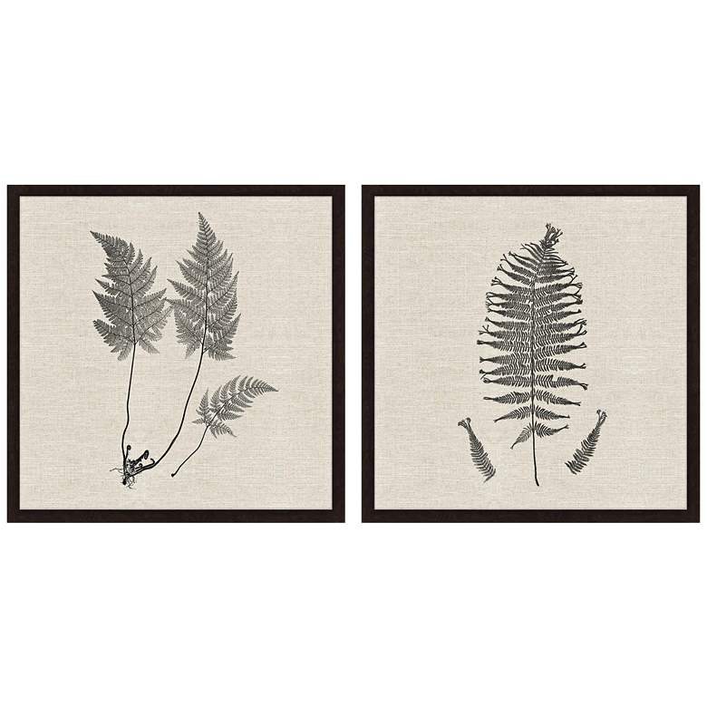 Image 2 Modern Ferns I 26 inch Square 2-Piece Framed Giclee Wall Art