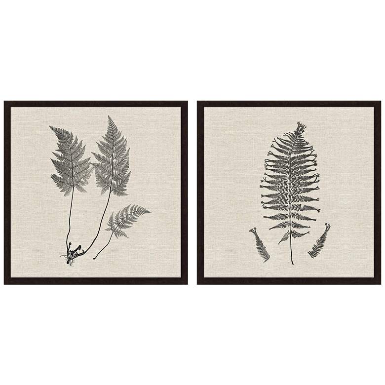 Image 2 Modern Ferns I 26" Square 2-Piece Framed Giclee Wall Art