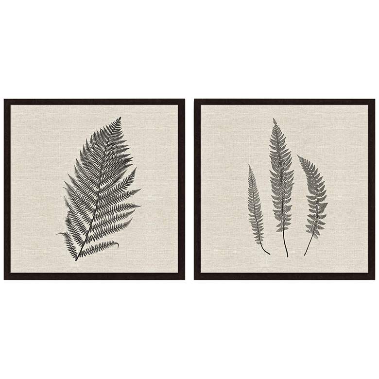 Image 2 Modern Ferns II 26 inch Square 2-Piece Framed Giclee Wall Art