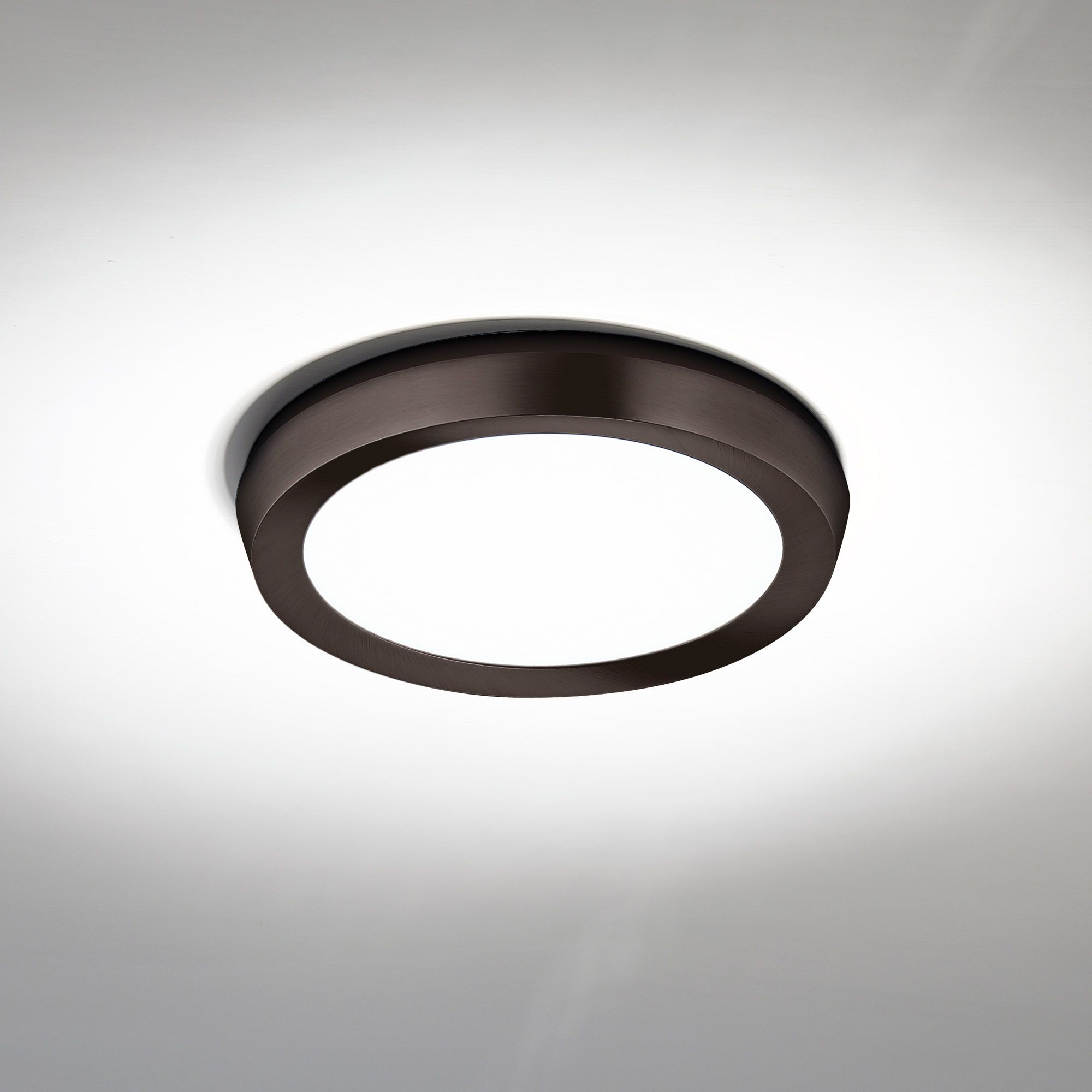 Modern Forms Argo Black Collection