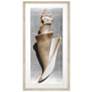 1_Modern Shell II 26"W x 51"H Framed Art