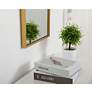 7_Monet Brass 14" x 36" Rectangular Vanity Mirror more views