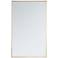 Monet Brass Metal 30" x 48" Rectangular Wall Mirror