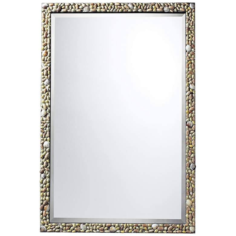 Image 1 Monmouth Natural Shell 24 inch x 36 inch High Rectangle Wall Mirror