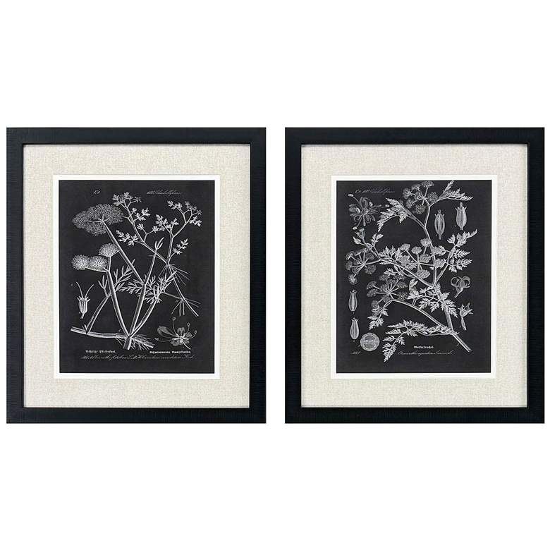 Image 1 Mono Botanicals I 26"W x 30"H Framed Wall Art Set of 2