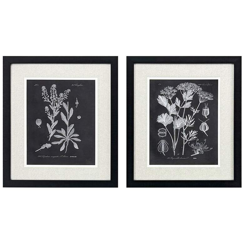 Image 1 Mono Botanicasl II 26"W x 30"H Framed Wall Art Set of 2